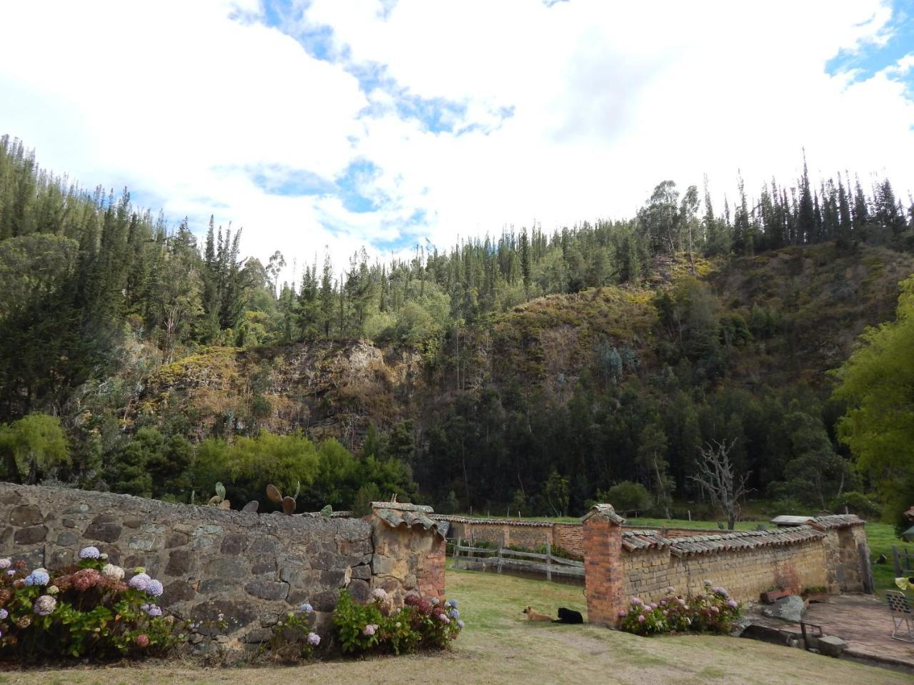 El Molino De San Luis